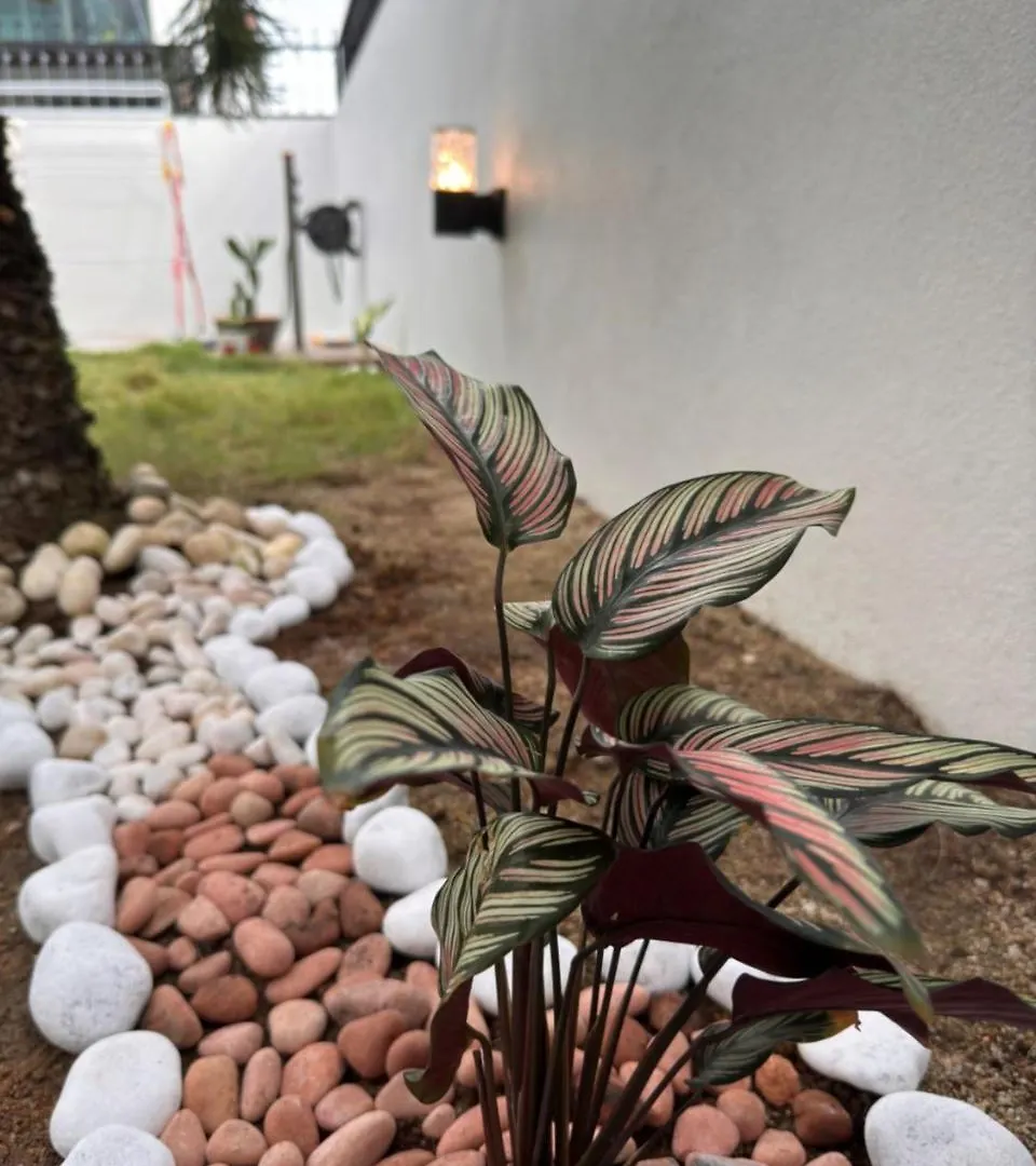 Villa 7Pax Single Story Corner Alma Near Aeon 大山脚 Ferienhaus