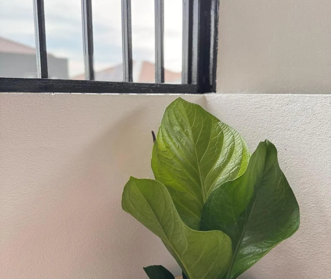Holiday home 7Pax Single Story Corner Alma Near Aeon 大山脚 Villa Malaysia